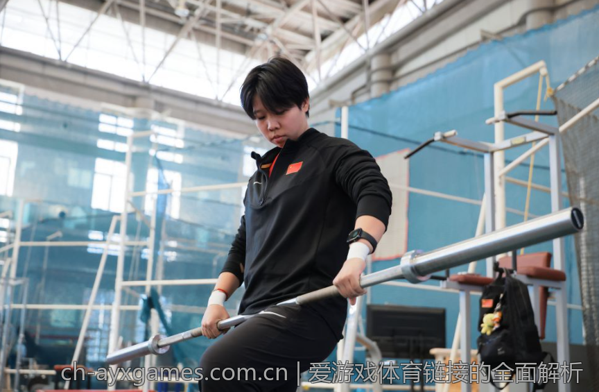 爱游戏体育链接的全面解析
